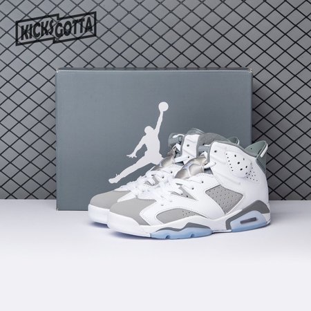 Air Jordan 6 Cool Grey CT8529-100 Size 40-47.5